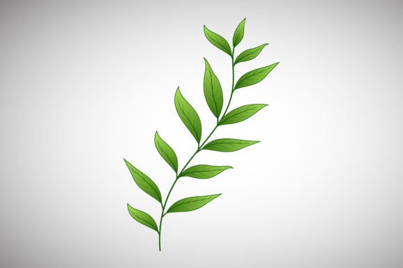 Branches with Green Leaf s Illustration: A Versatile Decorative Element for Modern Workflows