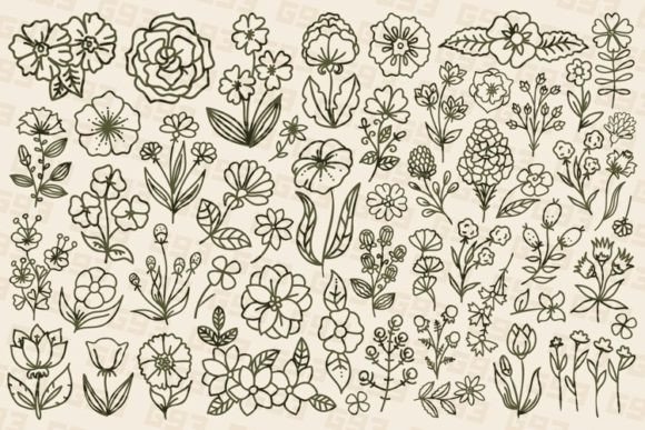 Exploring the Elegance of Line Art Drawn Floral Sets in Modern Design