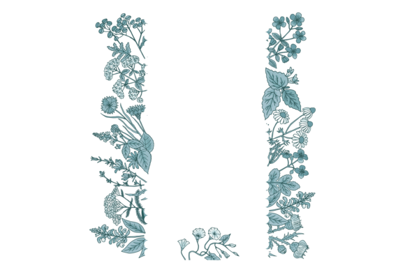Floral Border with Hand Drawn Plants: Elevating Design with Natural Elegance