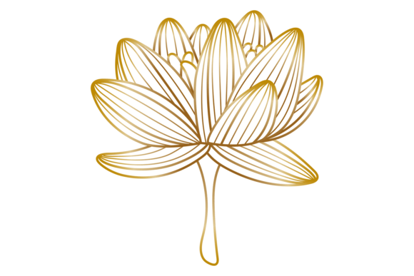 Golden Lotus Flower with Line Texture. D: Strategic Use in Design and Branding