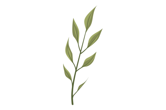 Green Branch with Leaves: A Versatile Decorative Element for Creative and Professional Use