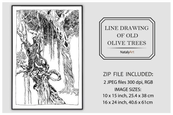Line Drawing of Old Olive Trees: A Timeless Design Element for Modern Creatives