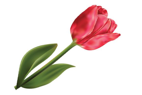 Pink Tulips: A Versatile Clip Art Resource for Creative Projects
