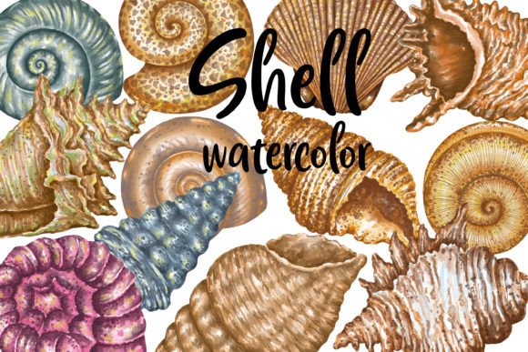 Shell Watercolor Clipart: A Versatile Resource for Modern Designers and Creatives