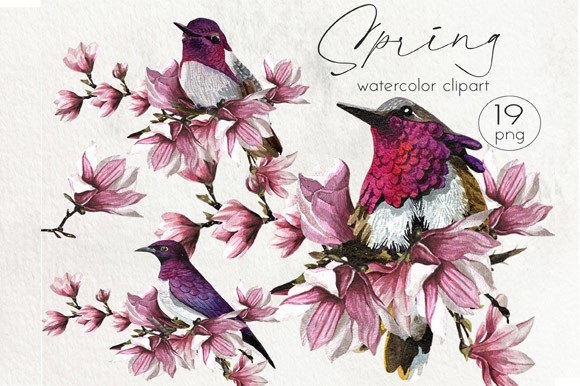 Watercolor Flowers Clipart and Birds PNG: A Must-Have for Modern Design Projects